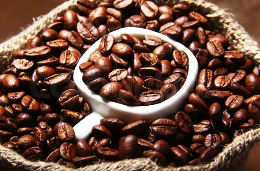 Visit Rwandan coffee plantations.